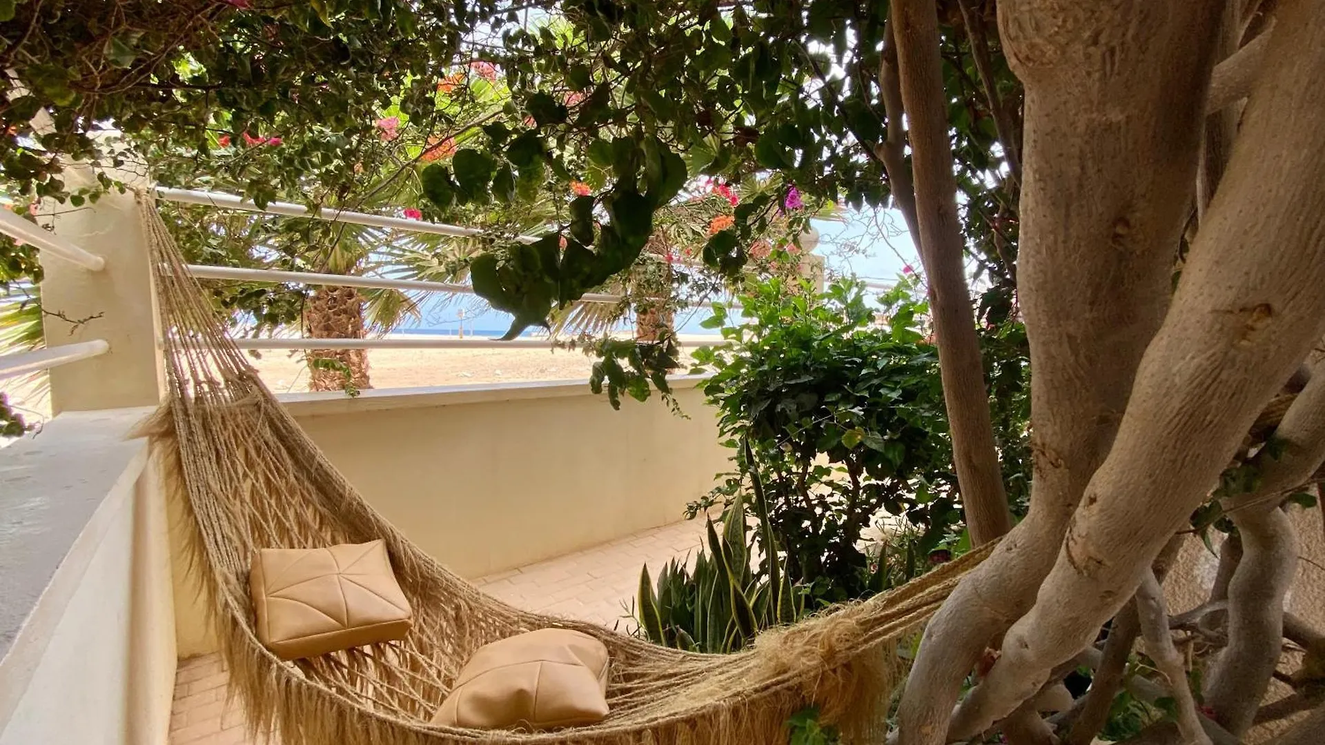 Terra Kriola Aparthotel Sal Rei Cape Verde